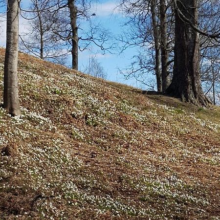 Pilegrimsherberge Innomhaug Jessheim Exterior foto